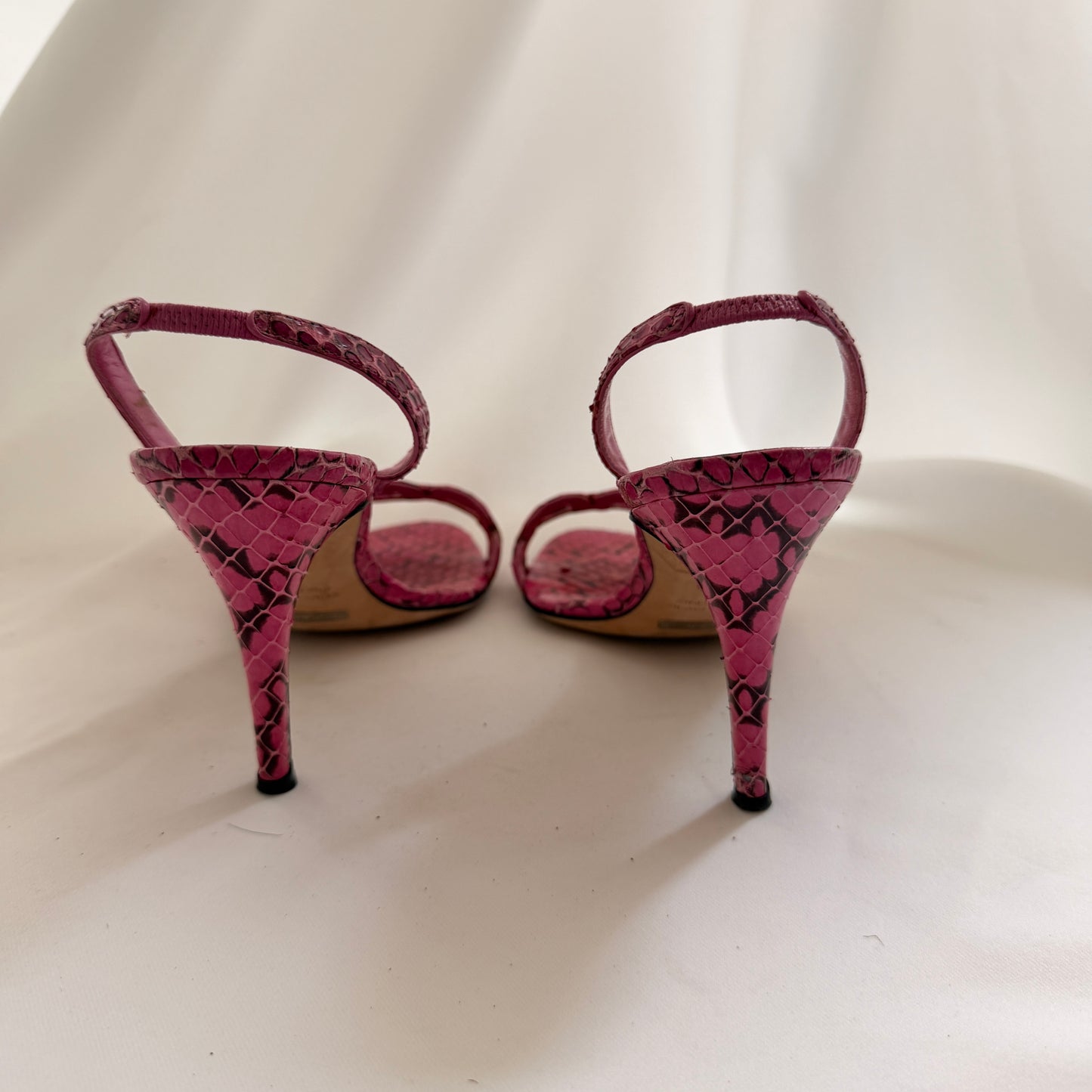 D&G Whips Pumps in Fuxia (37.5)