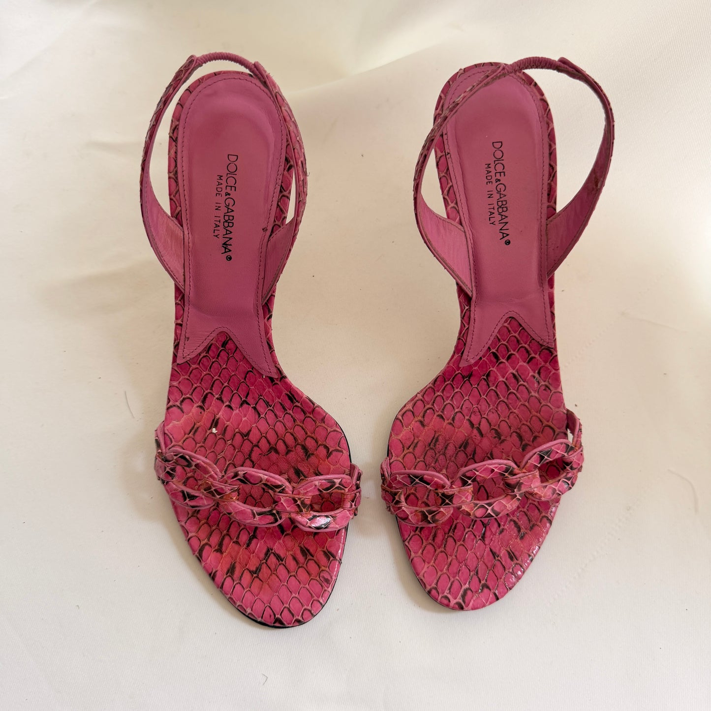 D&G Whips Pumps in Fuxia (37.5)