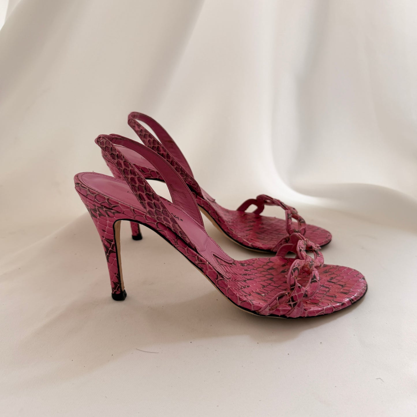 D&G Whips Pumps in Fuxia (37.5)